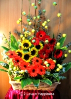 Opening Flower Stand